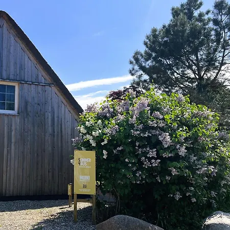 Sommerhaus 54, Gartenhaus 